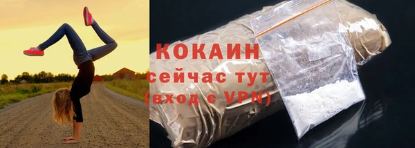 индика Армянск