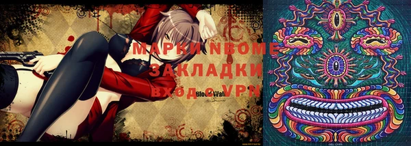 индика Армянск