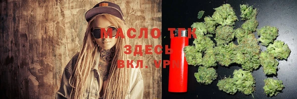 индика Армянск