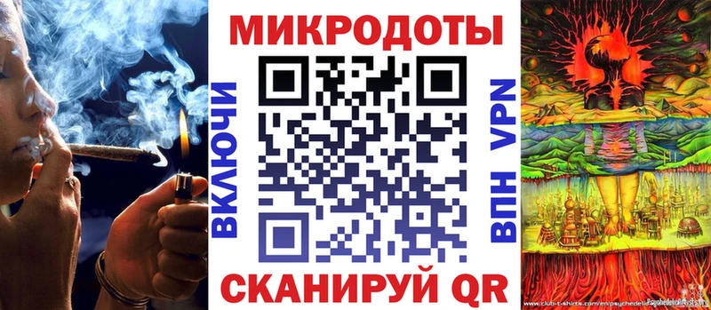 Галлюциногенные грибы Psilocybe  Кизляр 